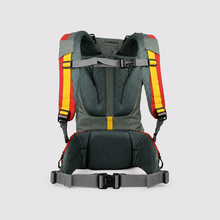 Load image into Gallery viewer, The back view of a hiking backpack with a dark gray mesh back panel, red and yellow side compression straps, and a gray waist belt, shown on a light gray background.

